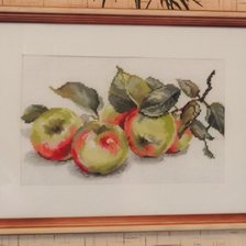Работа «яблоки»