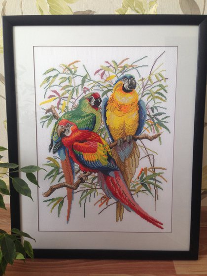 Работа «Попугаи»