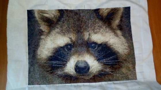 Работа «Енот»