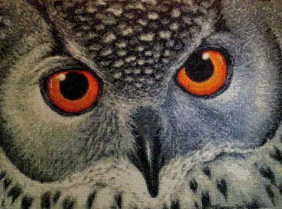 Работа «Сова»