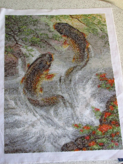 Работа «Прыгающие карпы Изнанка»