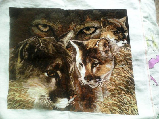 Работа «взгляд пумы»