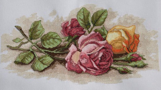 Работа «Срезанные розы»