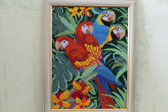 Работа «попугаи ара»