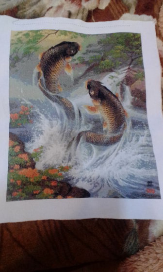 Работа «Прыгающие карпы»