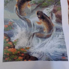 Работа «Прыгающие карпы»