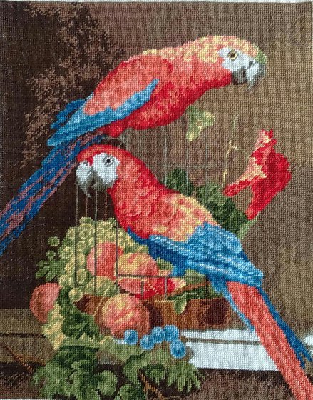 Работа «Два попугая.»