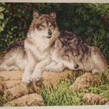 Работа «лесные хищники»