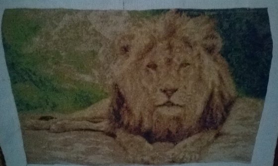 Работа «африканский лев»