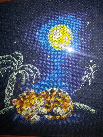 Работа «Сон под Луной»