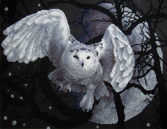 Работа «Белая сова.»