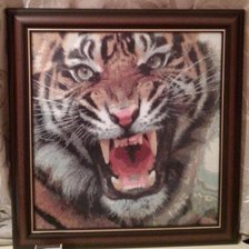 Работа «тигр)»