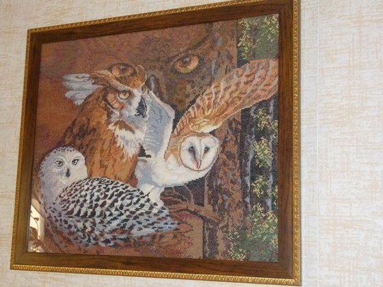 Работа «совы»