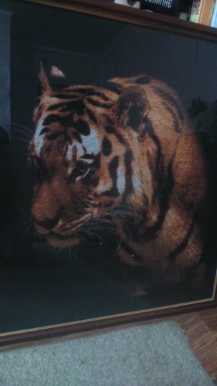 Работа «тигр на черном фоне»