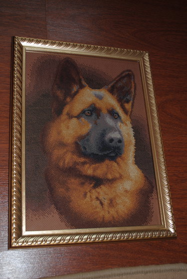 Работа «Набор panna. Вышивала для своей собаки)))»