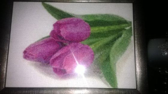 Работа «Тюльпаны»