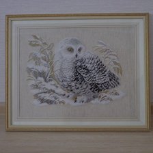 Работа «Совушка от Риолис шерстью»