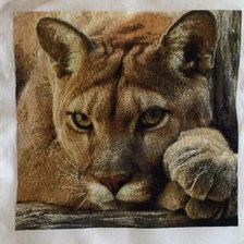 Работа «Puma»