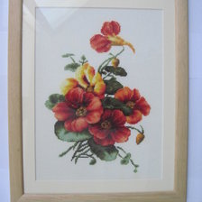 Работа «Настурция от Лука-С»