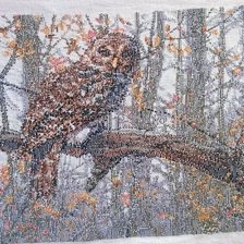 Работа «Сова-изнанка»