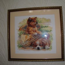 Работа «Набор фирмы Риолис.»