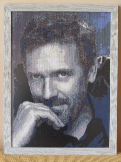 Работа «Хью Лори»