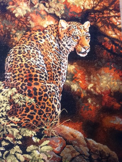 Работа «Взгляд леопарда»