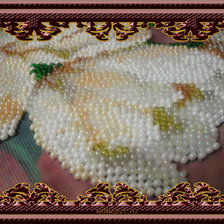 Работа «БЕЛОСНЕЖНЫЕ ТЮЛЬПАНЫ»