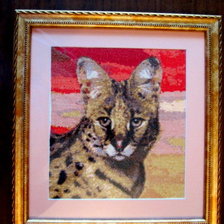 Работа «Сервал»