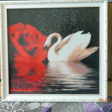 Работа «№55575»