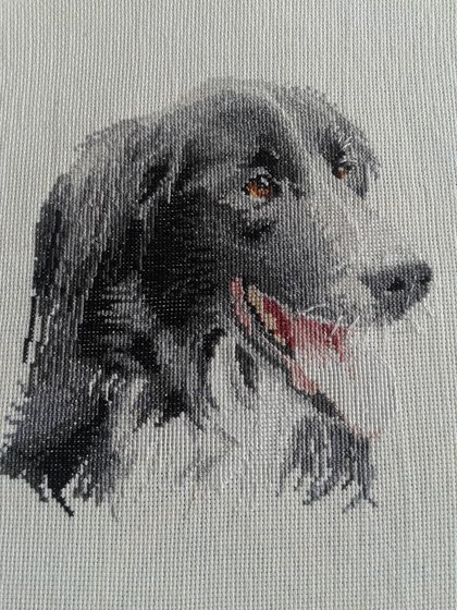 Работа «Соня»