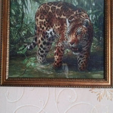 Работа «леопард»