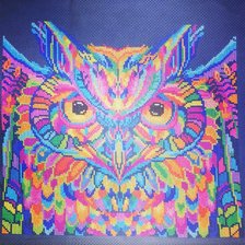 Работа «Радужный филин. Моя любовь с первого взгляда!»