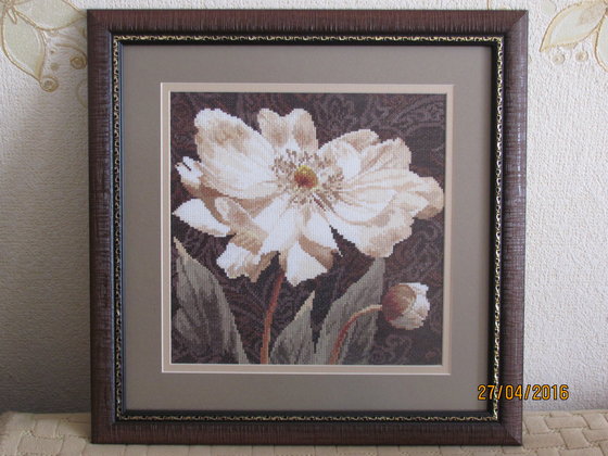 Работа «В объятиях света»