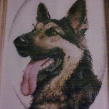 Работа «немецкая овчарка»