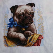 Работа «Мой Клёпа))»