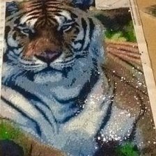 Работа «№56368»