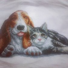 Работа «животные»