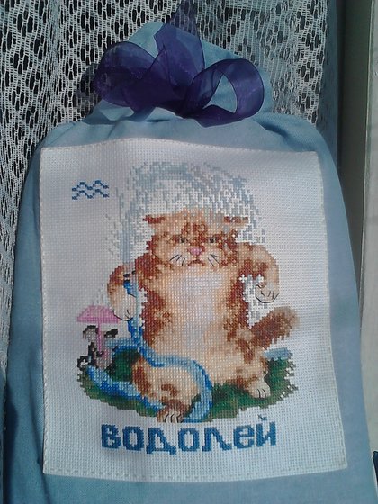 Работа «Кот- водолей»