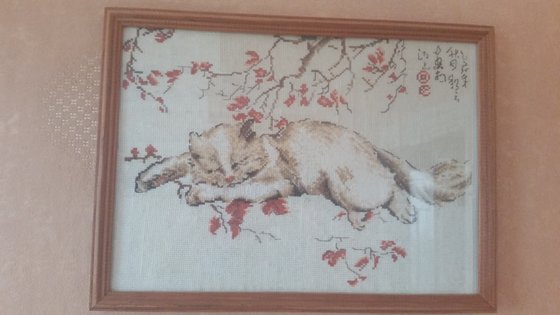 Работа «Кот»