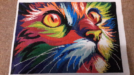 Работа «Радужный кот»