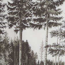 Работа «№57015»