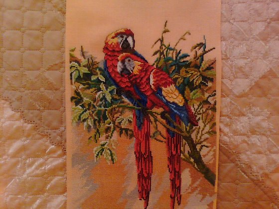 Работа «пара»