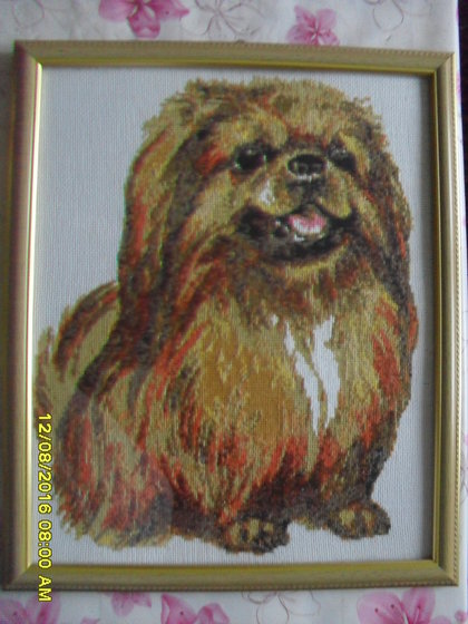 Работа «Пекинес»