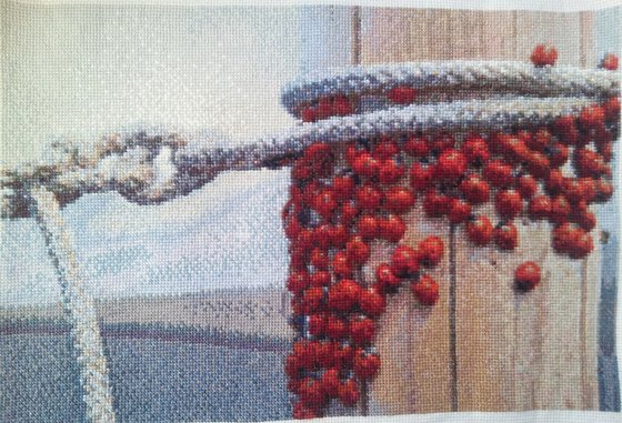 Работа «Божие коровки и канат»