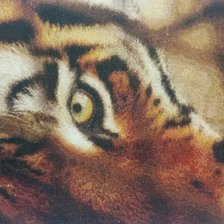 Работа «тигр»