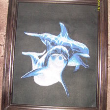 Работа «дельфины»