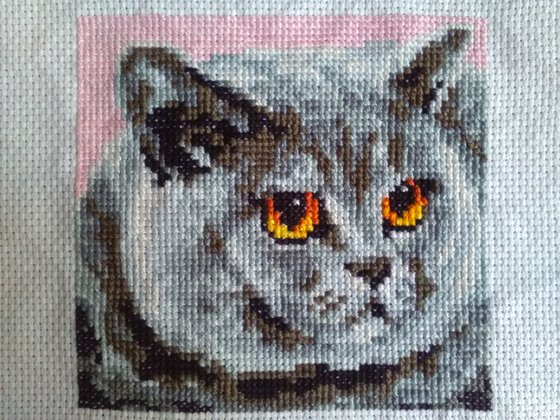 Работа «Кот»