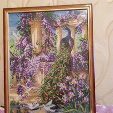 Работа «Павлины в саду (работа уже в рамке)»