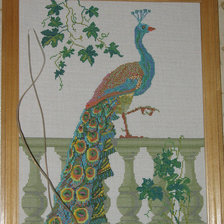 Работа «Павлин»